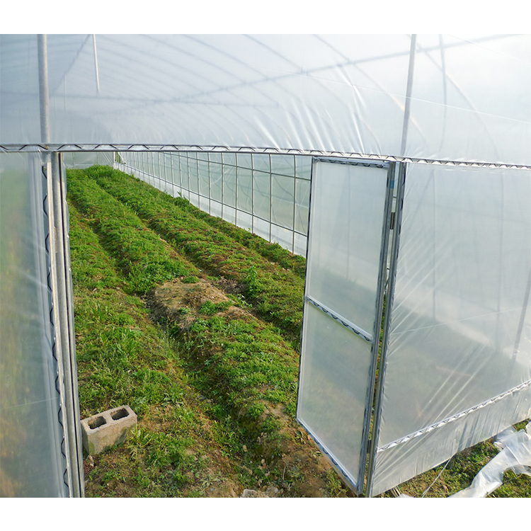 Garden Single Tunnel Greenhouse Eco Friendly Film type For Crop Production