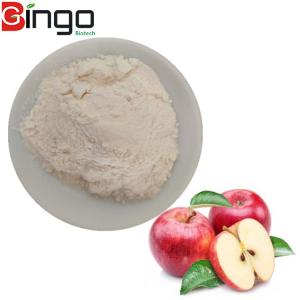 China Factory Supply Best quality apple extract apple juice concentrate powder with free sample on sale
