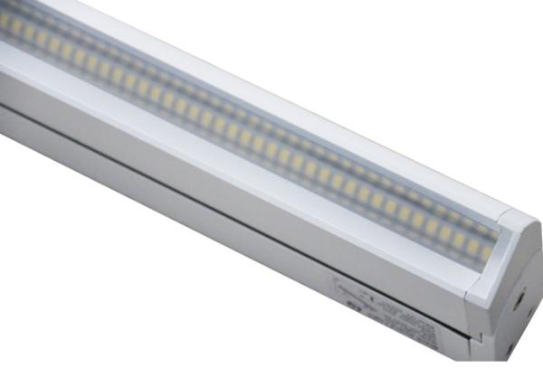 5000K Full Spectrum T8 Bulbs