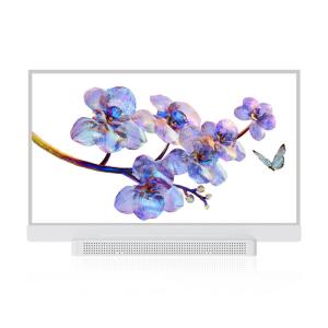 OEM ODM Transparent OLED Screen , 55 Transparent OLED Display