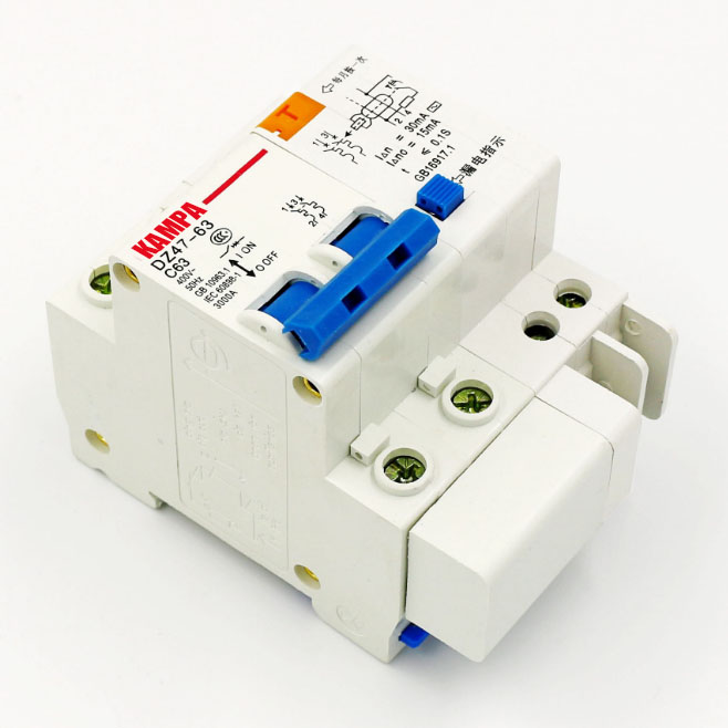 DZ47LE 2P 10A 16A 20A 25A 32A 40A 50A 60A Residual current Circuit breaker RCBO