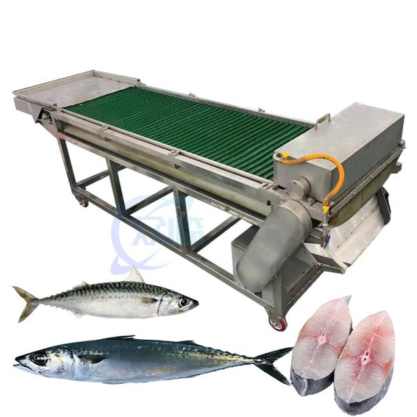 Mackerel Cutting Machine Mackerel cutting machine stainless steel fish