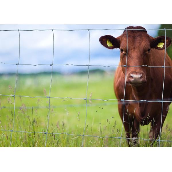 90cm Height Hot Dip Galvanized Farm Wire Fencing For Cattle