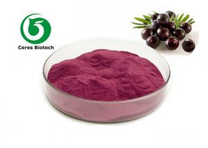 China Pink To Red Fruit Juice Powder Acai Berry Fruit Powder Health Care Field on sale