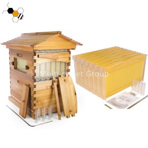 18mm Thickness Wax Coated Flow Bee Hive With Queen Excluder