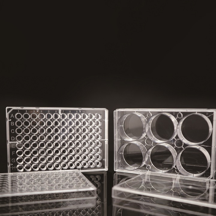 Quality Lab Disposable EDGE 6 Well Cell Culture Plate wholesale