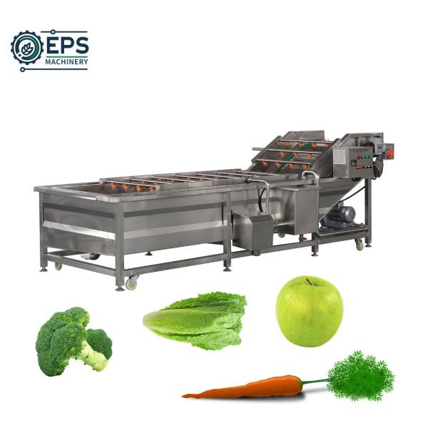 Multifunctional Stainless Steel Fruit Cleaning Machine and Vegetable Washing
