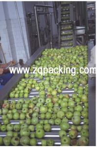 China apple juice concentrate production line on sale
