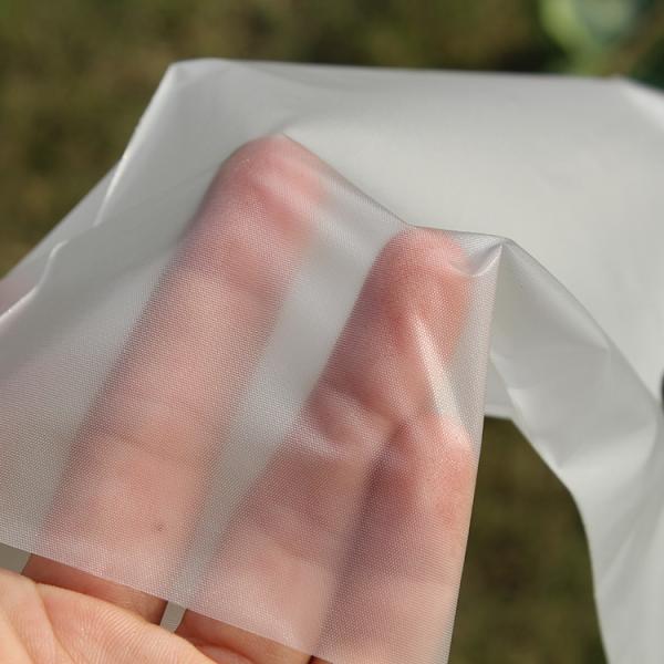 Multipurpose Tpe Disposable Food Preparation Gloves With Translucent Color
