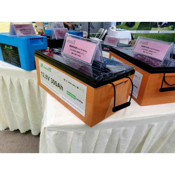 Ups RV Lifepo4 Battery With Bms 75ah 80ah 100AH Lithium Iron Phosphate LiFePGG