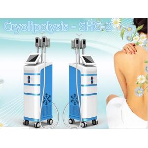 Quality Newest Cryolipo Lipo Cryo Slimming Machine wholesale
