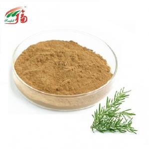 China Herb Rosemary Extract Powder Ursolic Acid / Carnosic Acid For Food on sale