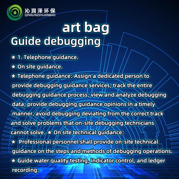 Process Package Debugging Guidance, Process Design Technology Consulting Service, Environmental Assessment, On-Site Remo