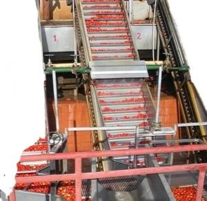 Quality 4000-6000bph Fruit Juice Filling Production Line For Apple Juice /Orange Juice / Tomato Paste wholesale