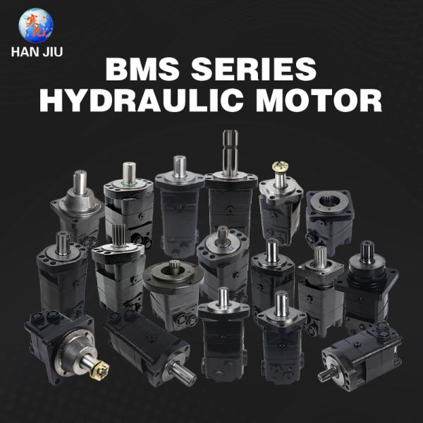 Hydraulic Orbital Motor BMSY-315-E4BD USED ON ROTARY LOBE PUMP
