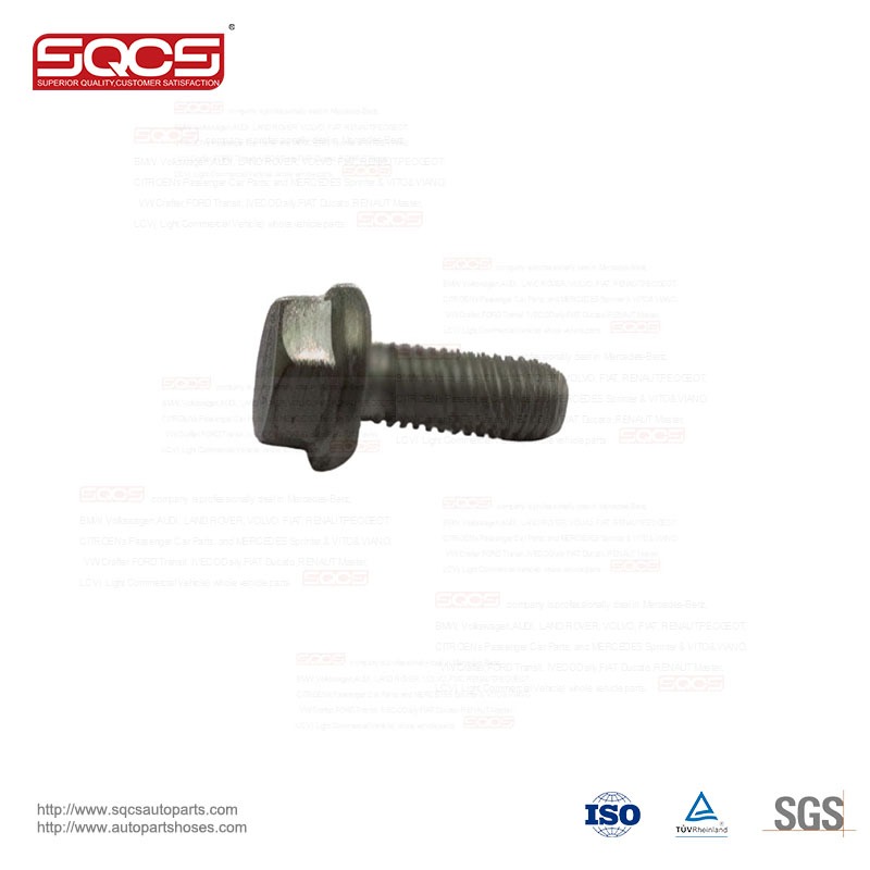 16673635 Auto Parts Screws for IVECO Daily BOLT OEM NO. and OE NO