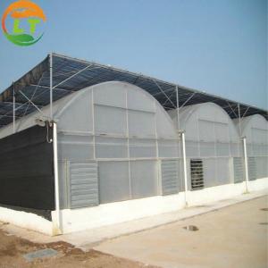 Multi Span Agriculture Greenhouse Height 3m Customized Length 50m