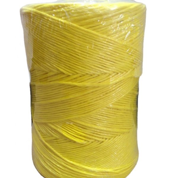 4mm UV Treated Bule Polypropylene Twine/PP Packing Rope