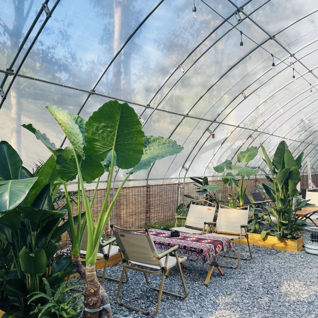 Flower Planting Drip Irrigation Vegetable Sunlight Greenhouse System