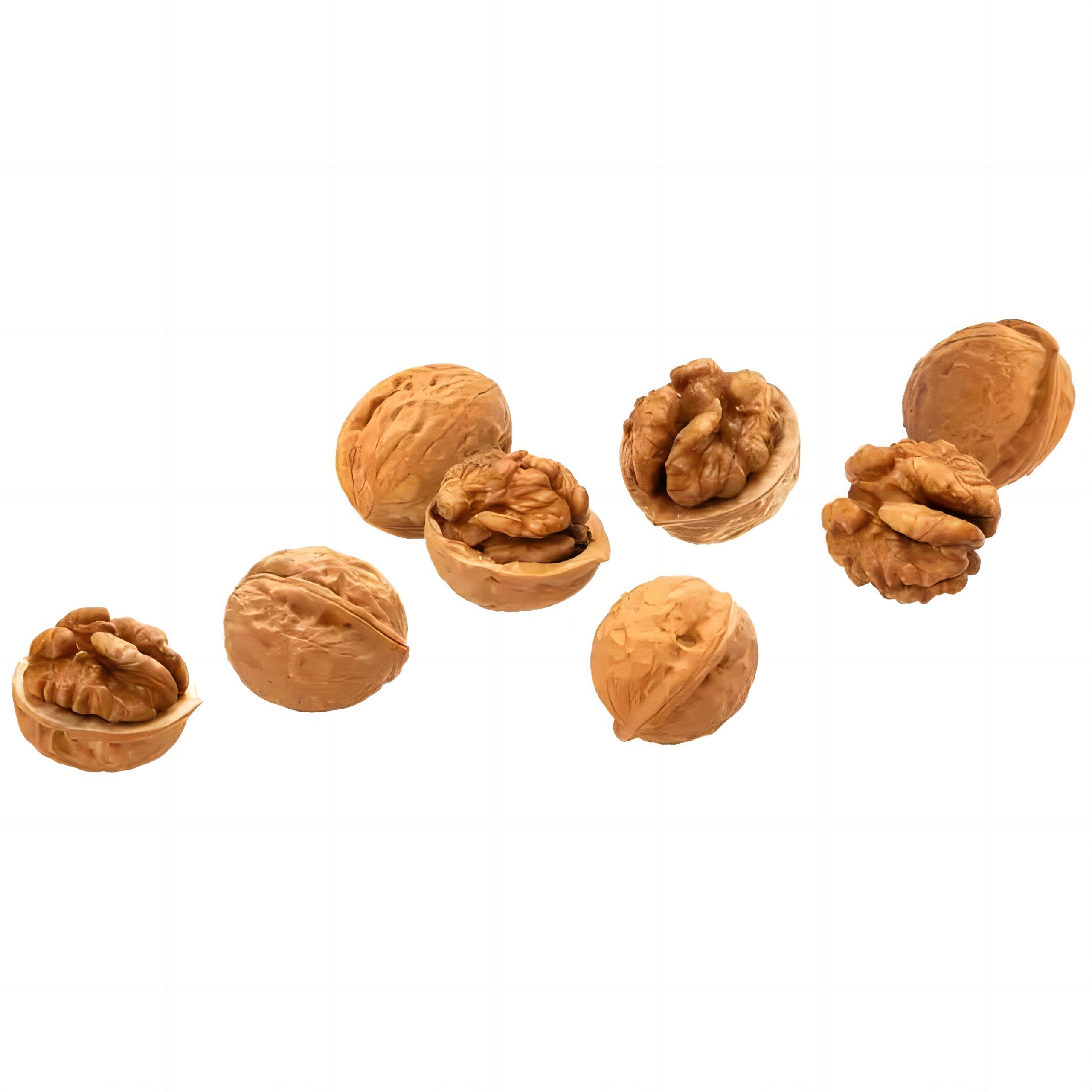 Chinese Factor bulk sale Chinese walnutskernal with cheap price and best quality
