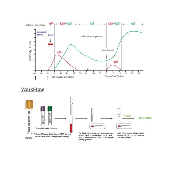 Manual Instruction Novel Coronaviruses Detection Kit 10 Minutes Rapid Detection