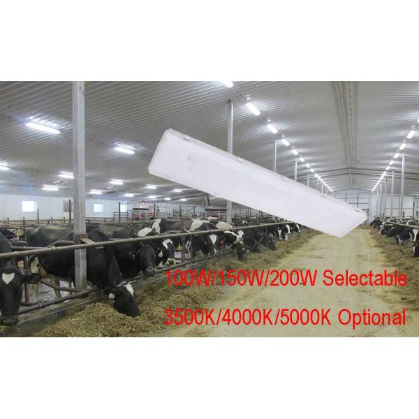 High Watt 200W 4FT LED Vapor Tight Waterproof Industrial Tri Proof Light Fixtures for Workshop