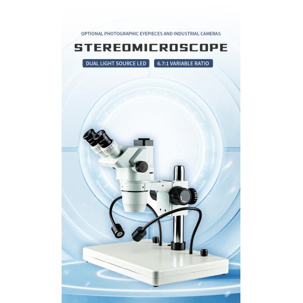 6.7X-45X Magnification Stereomicroscope for Zoology Botany Entomology Histology Mineralogy