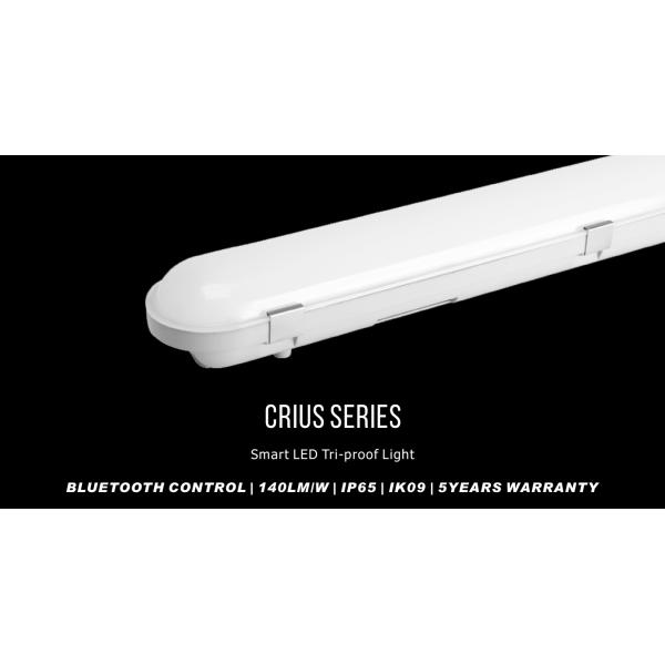 Slim Dimmable Led Batten Lights 140lm/W Intellgent Control