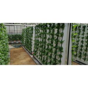 Quality Indoor Hydroponic Growing Systems Home Zip Vertical Hydroponic System wholesale