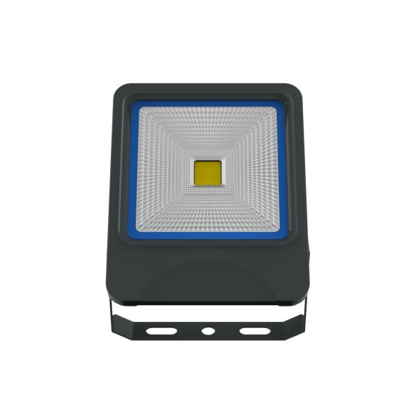 30W COB LED Flood Light Lamp IP66 SAA CE TUV UL Meanwell Bridgelux led