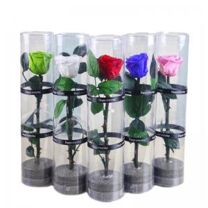 Quality Wholesale fresh preserved roses with long stems  Decorative Flowers wholesale