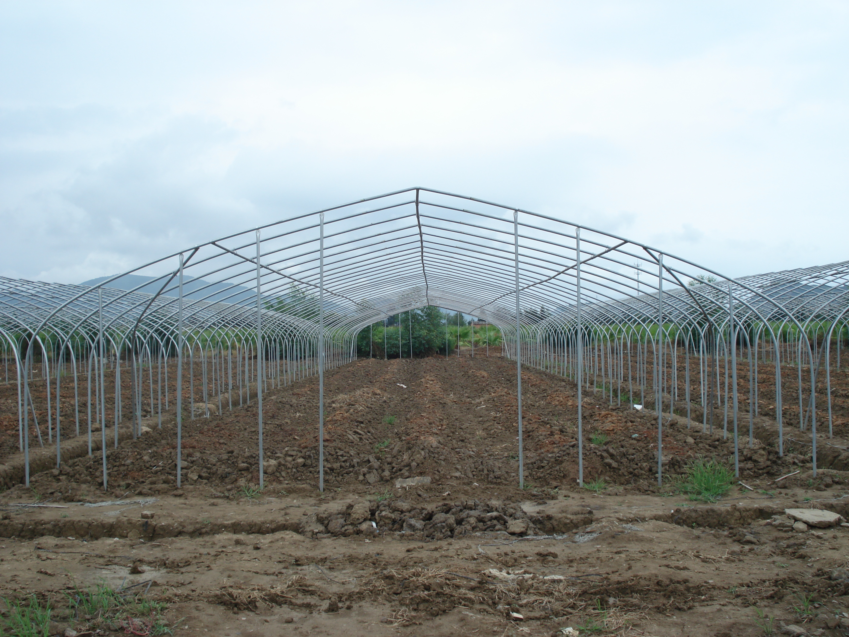 Single Layer Plastic Film Greenhouse Versatile For Agricultural Applications