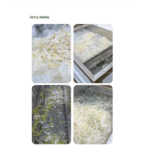 85KG Manufacturers independent research and development of small vegetable washing machine cleaning sand machine