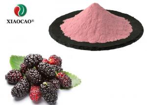 Quality Fighting Cancer Mulberry Fruit Juice Powder / Mulberry Fruit Powder wholesale