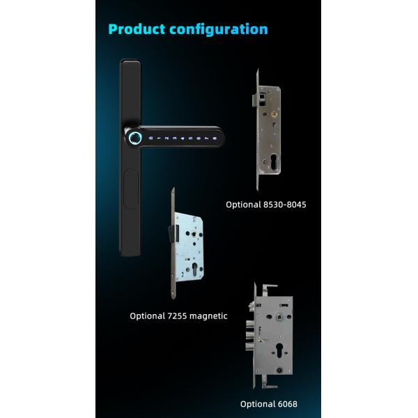 Black Ttlock Door Lock
