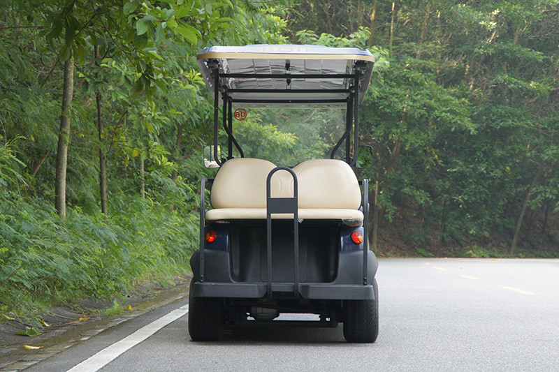 6+2 Eco-Friendly Cruiser Electric Golf Cart with 48V Lithium Battery