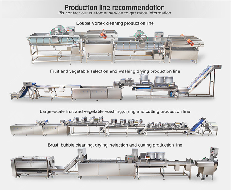 Washing and juicing production line Fruit Orange Leaves Vegetables sward beans soybeans processing production Machine