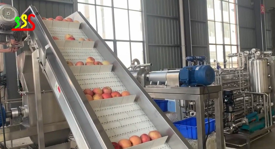 1500kg 380V Fresh Apple Puree Processing Line For Fruit Pulp