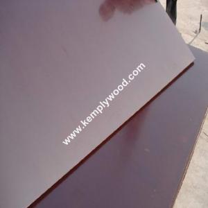 China 18MM brown film faced plywood, phenolic & wbp brown film faced plywood,brown film faced plywood made in linyi on sale