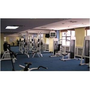 3W Foshan GYM Plastic PVC Interlocking Flooring Mat