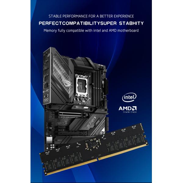 LASTINGIN DDR5 RAM 32GB 4800MHz ECC Memory Module