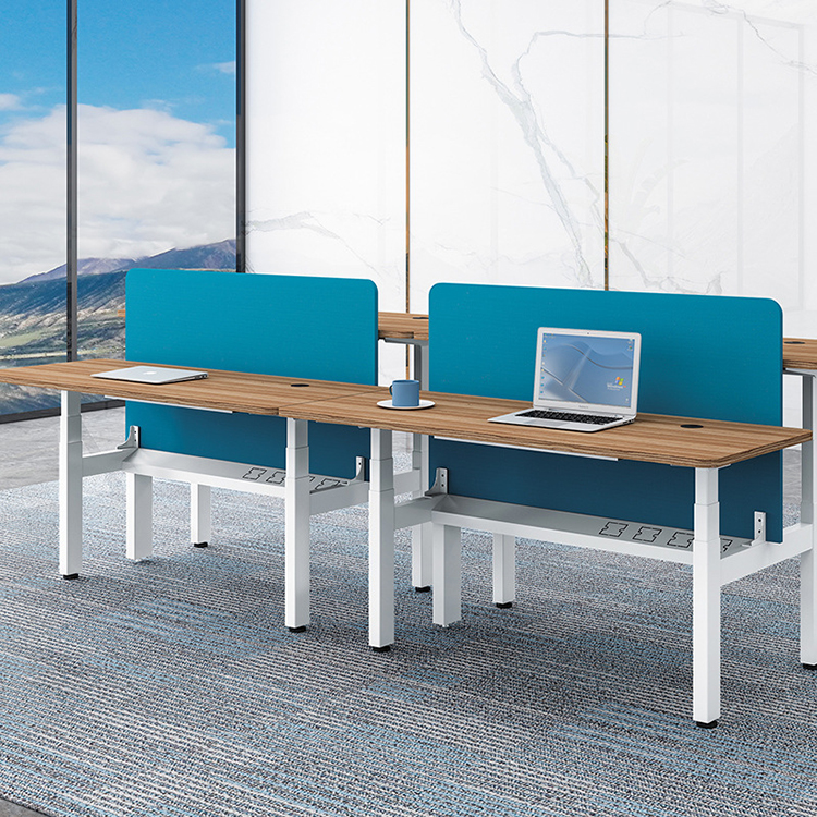 Adjustable Petite Ergonomic French Two Motor Standing Desk for Kids Mail Packing