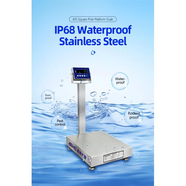 Power Supply 10.5V/1A 200KG Stainless Steel Scale for Seafood and Food Factories