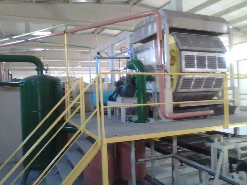 Automatic Making Pulp Egg Tray Machine Small Waste Paper Raw material