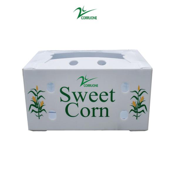Lemon Banana Fruit Corrugated Boxes Coflute Corrugated Polypropylene Boxes
