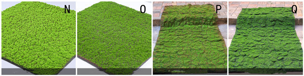 Green Silk Cloth Moss Artificial Grass Vertical Garden Wall Panles Size 1*1m