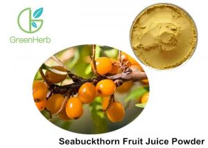 China Healthy Fruit Juice Powder Hippophae Rhamnoides Linn Promoting Wound Healing on sale