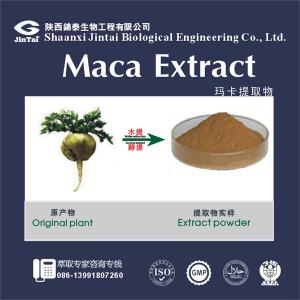 factory supply high quality pure maca root extract