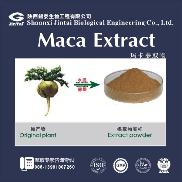 Cheap factory supply high quality pure maca root extract for sale