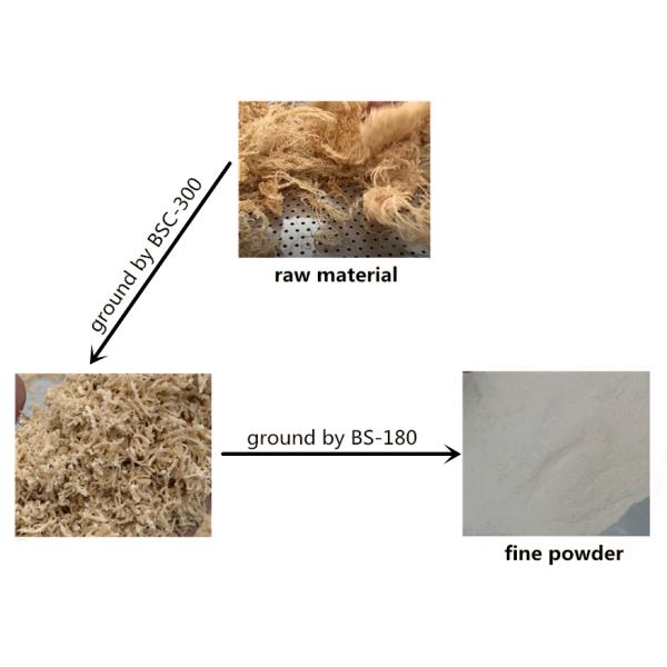 Industry Small Size Fast Grinding Speed 10mm Seaweed Processing Plant 300kg/H
